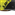 Yellow color option